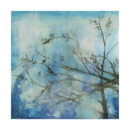 Jennifer Goldberger 'Moonlit Branches Ii' Canvas Art,14x14
